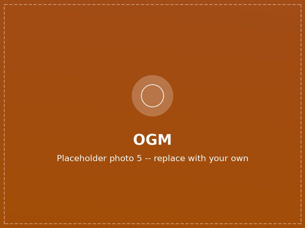 OGM engineering team (photo 5 of 10)