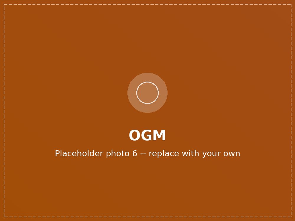 OGM engineering team (photo 6 of 10)