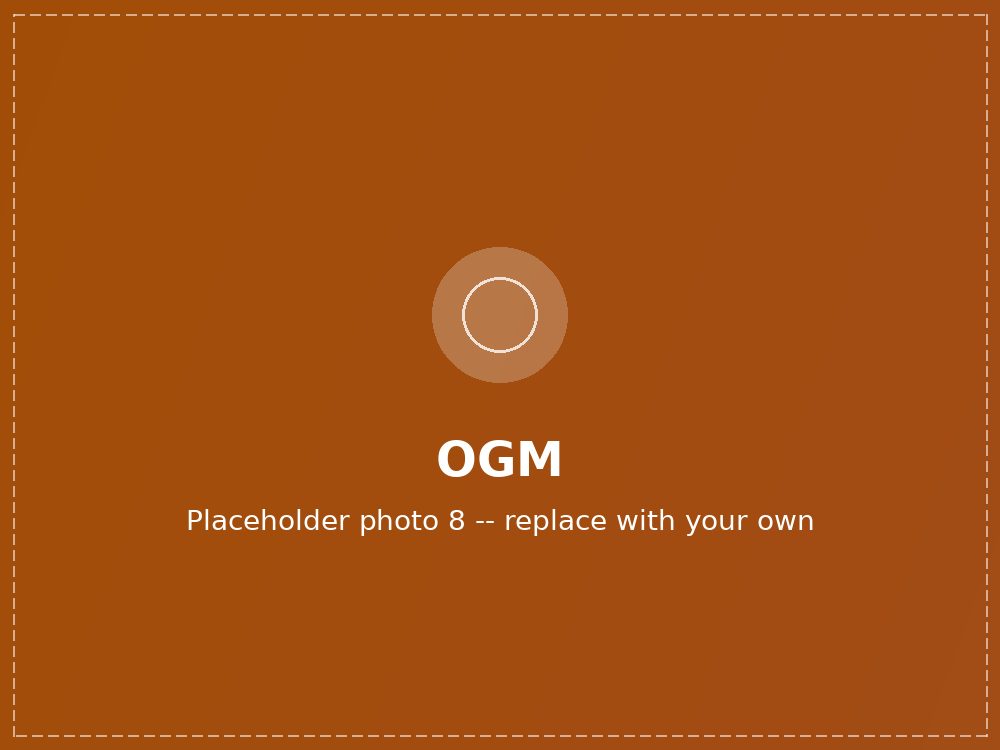 OGM engineering team (photo 8 of 10)